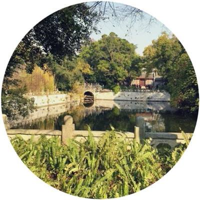 顶球入洞2游戏下载